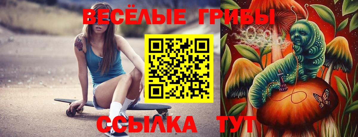 Псилоцибиновые грибы ЛСД Сегежа
