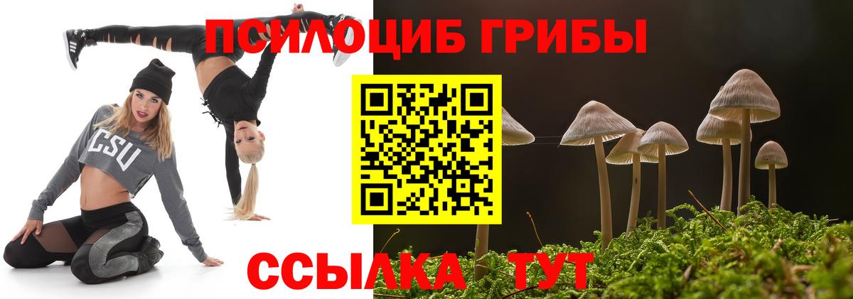 Сегежа  Псилоцибиновые грибы мухоморы  Вход с VPN 